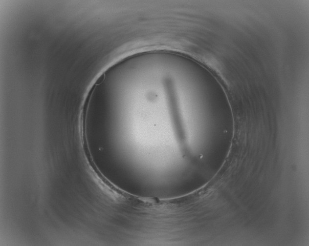 X0000073841516200608170953