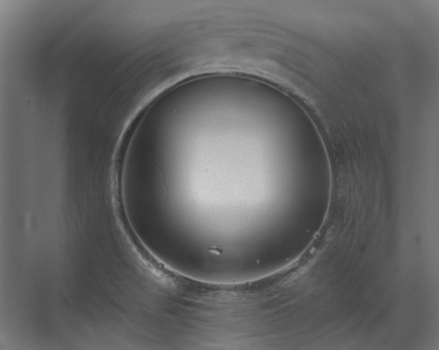 X0000073841517200608170953