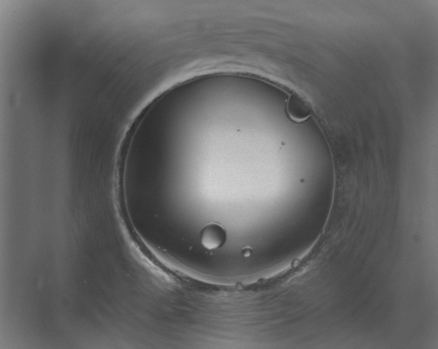 X0000073841518200608170953