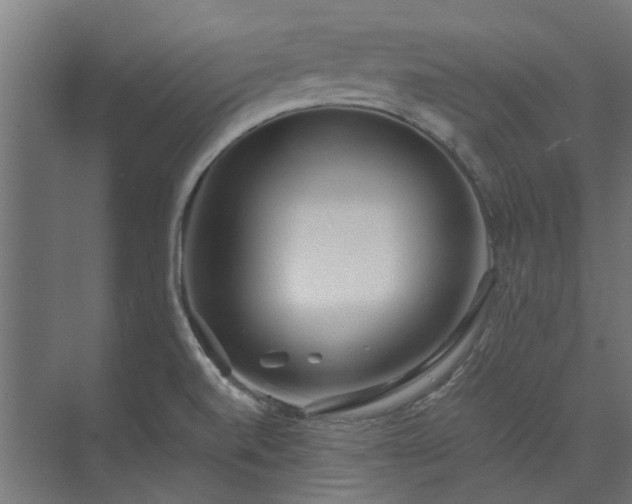 X0000073841520200608170953