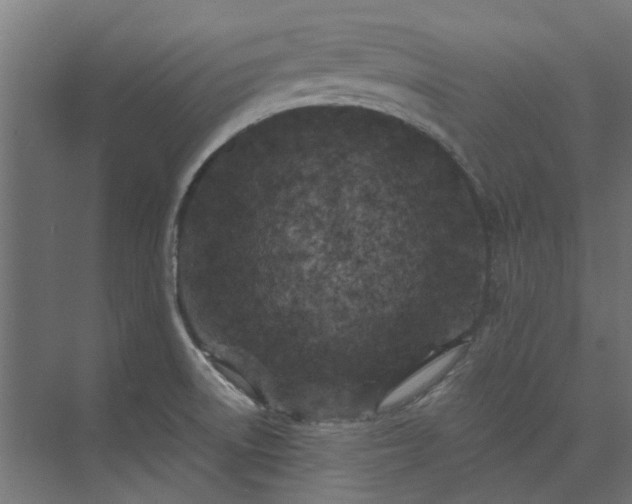 X0000073841522200608170953