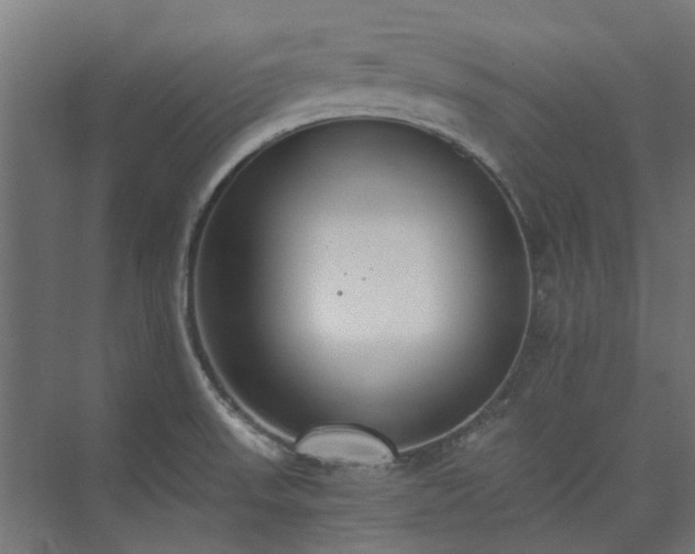 X0000073841523200608170953