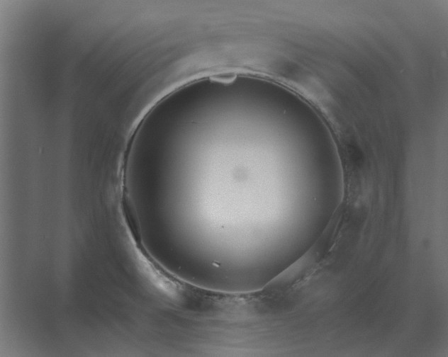 X0000073841524200608170953