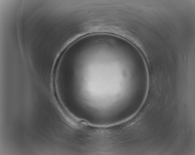 X0000073841525200608170954