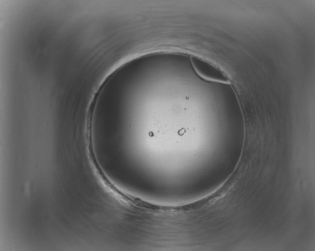 X0000073841526200608170954