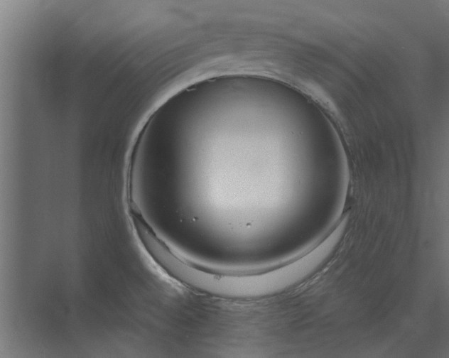 X0000073841528200608170954