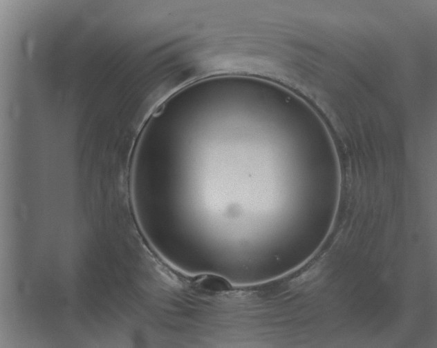 X0000073841529200608170954