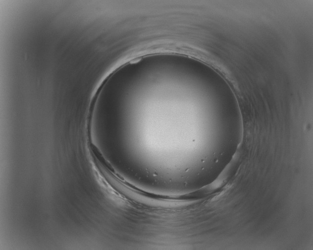 X0000073841530200608170954