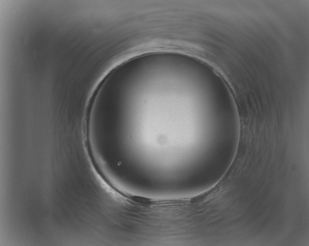 X0000073841531200608170954