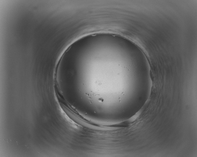 X0000073841532200608170954