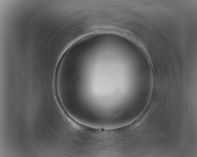 X0000073841533200608170954