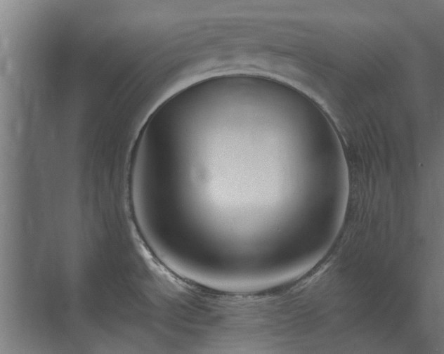 X0000073841534200608170954