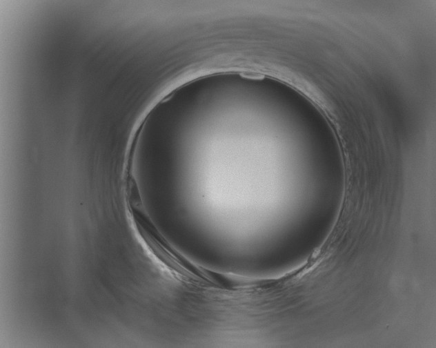 X0000073841536200608170954