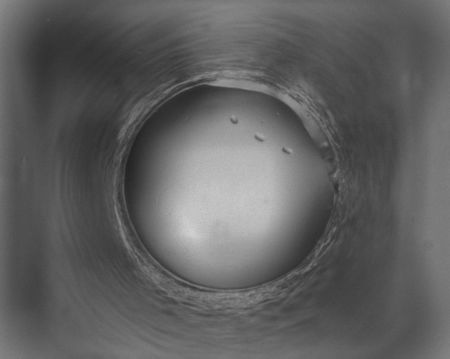 X0000073840001200608241029