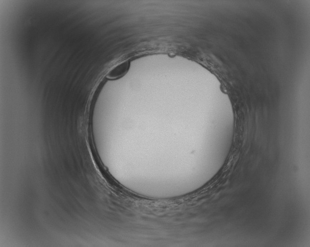 X0000073840003200608241029