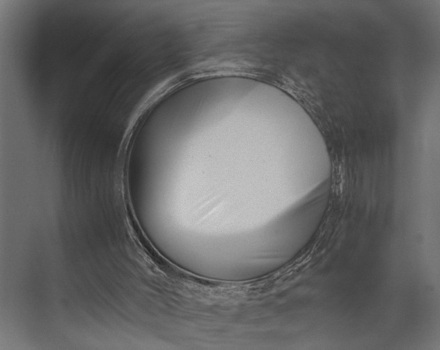 X0000073840004200608241029