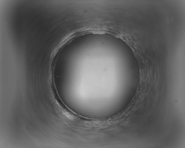 X0000073840005200608241029