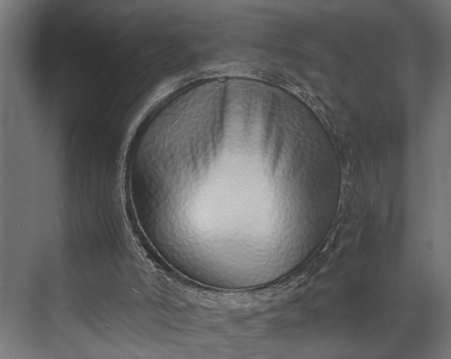 X0000073840006200608241029