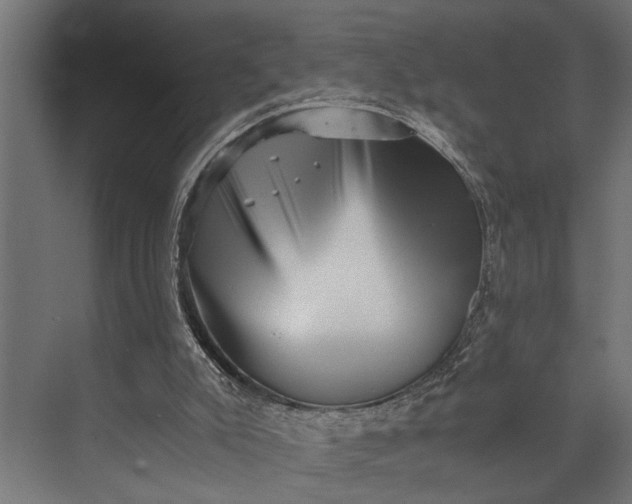 X0000073840007200608241029