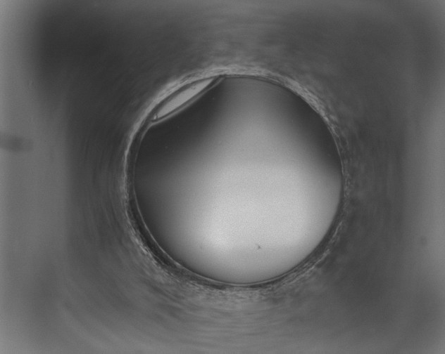 X0000073840008200608241029