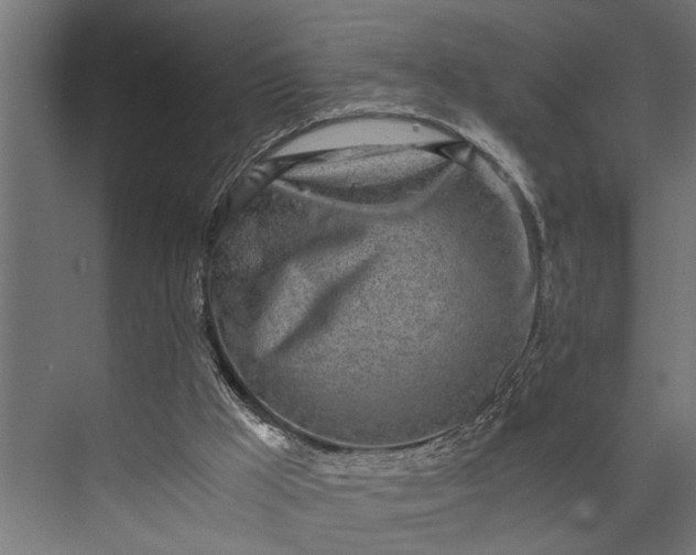 X0000073840009200608241029