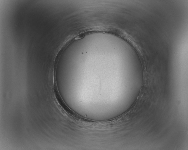 X0000073840011200608241029