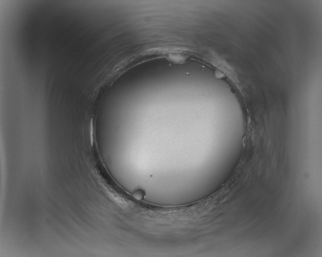 X0000073840013200608241029