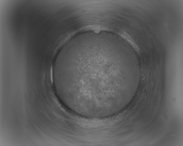 X0000073840014200608241029