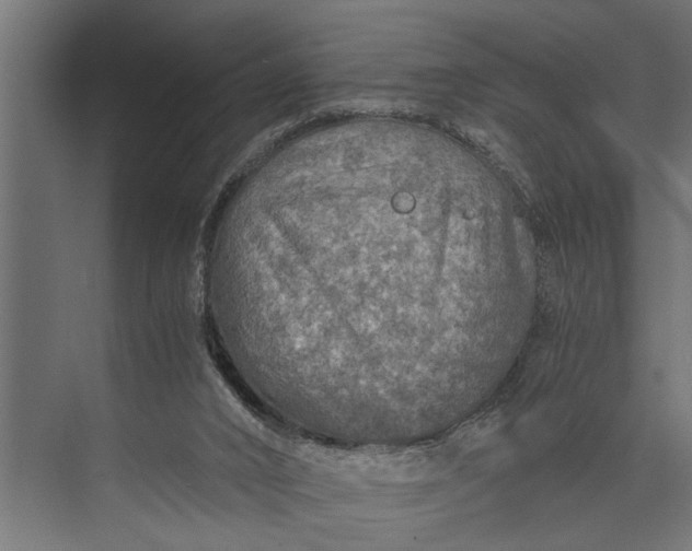 X0000073840016200608241028