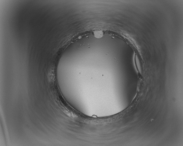 X0000073840017200608241028