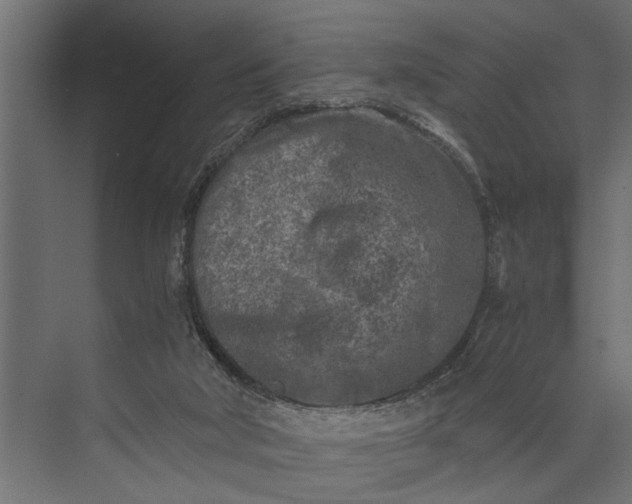 X0000073840018200608241028