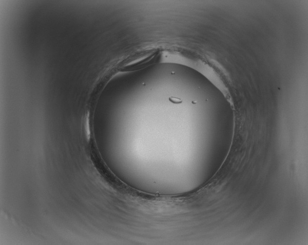 X0000073840020200608241028