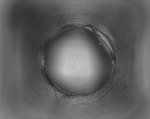 X0000073840021200608241028