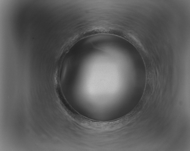 X0000073840023200608241028