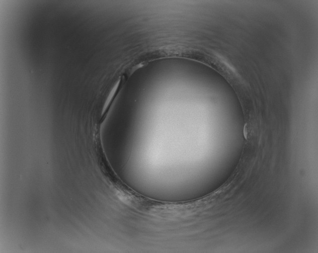 X0000073840025200608241028