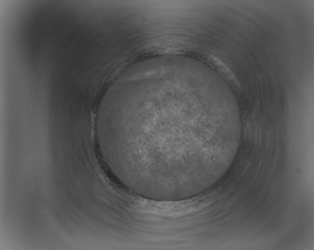 X0000073840026200608241028