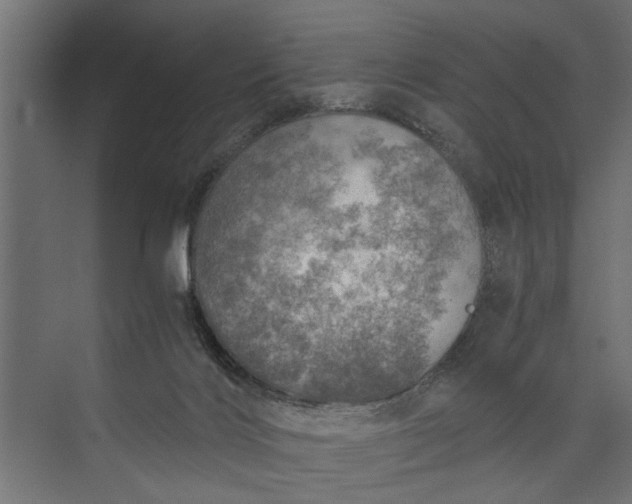 X0000073840028200608241028