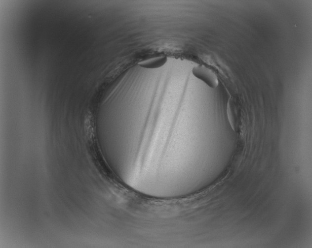 X0000073840029200608241028