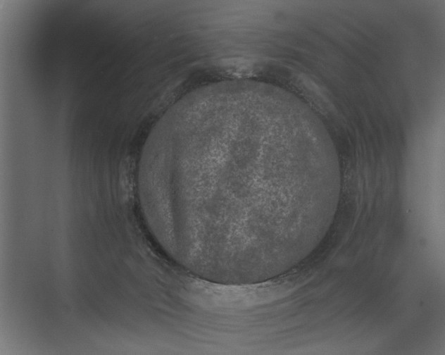 X0000073840030200608241028