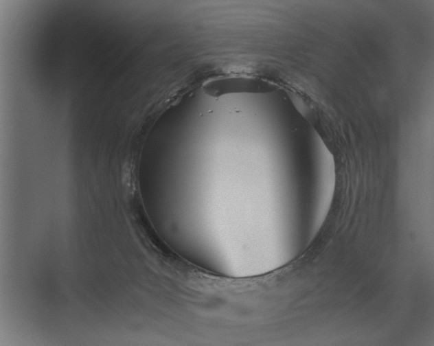 X0000073840031200608241028