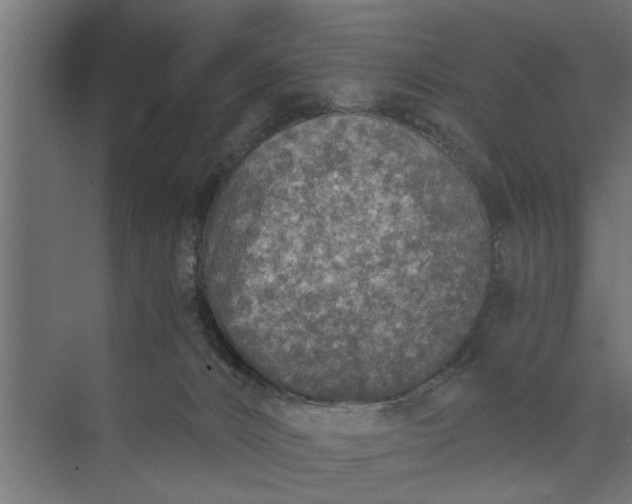 X0000073840032200608241028