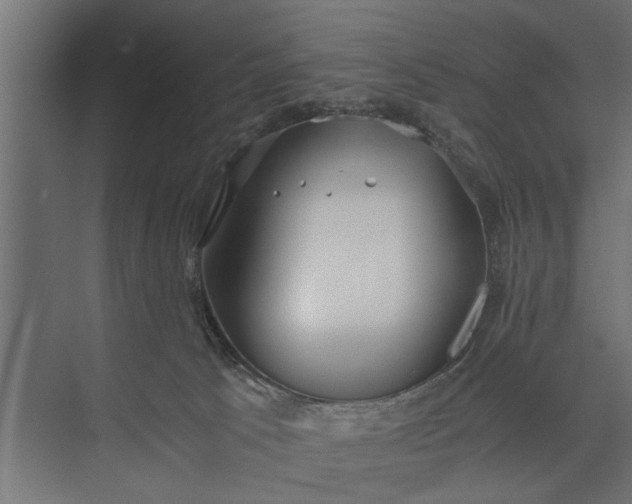 X0000073840033200608241028