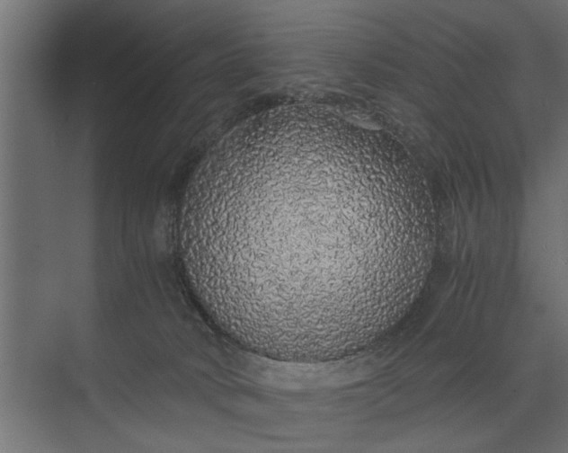 X0000073840034200608241028