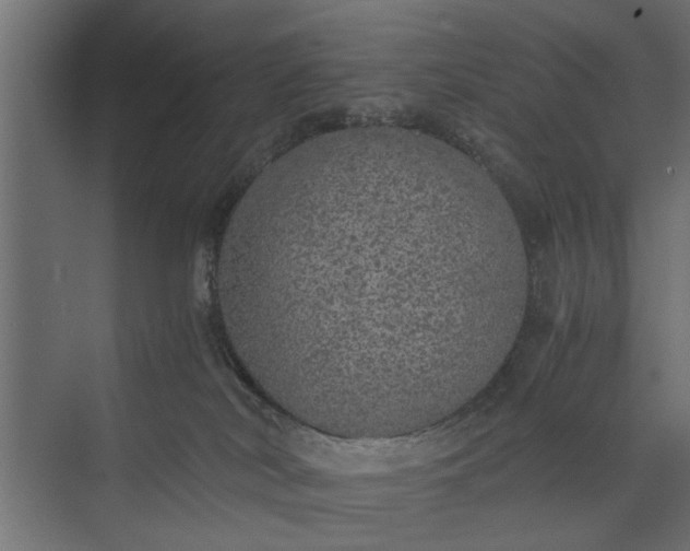 X0000073840038200608241028