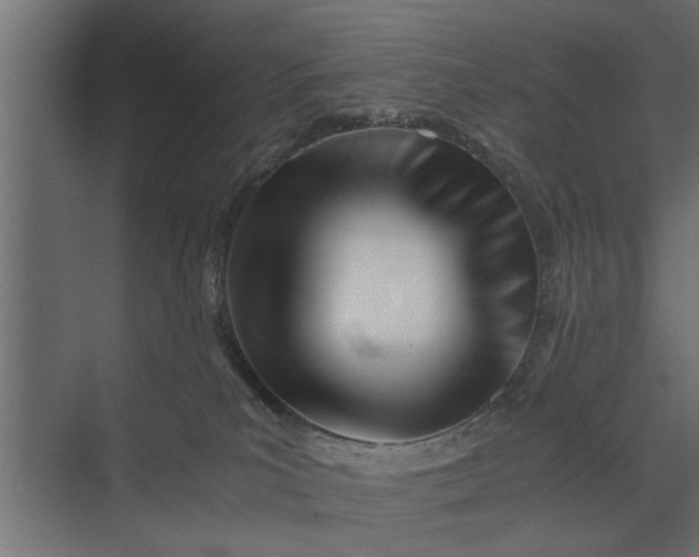 X0000073840039200608241028