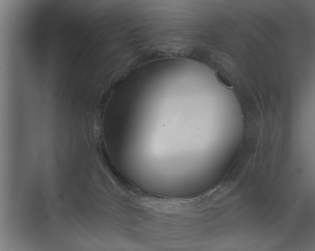 X0000073840040200608241028