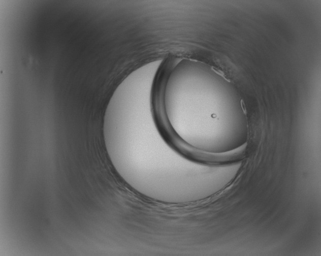 X0000073840041200608241028