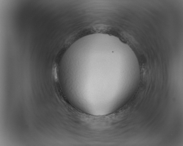 X0000073840042200608241028