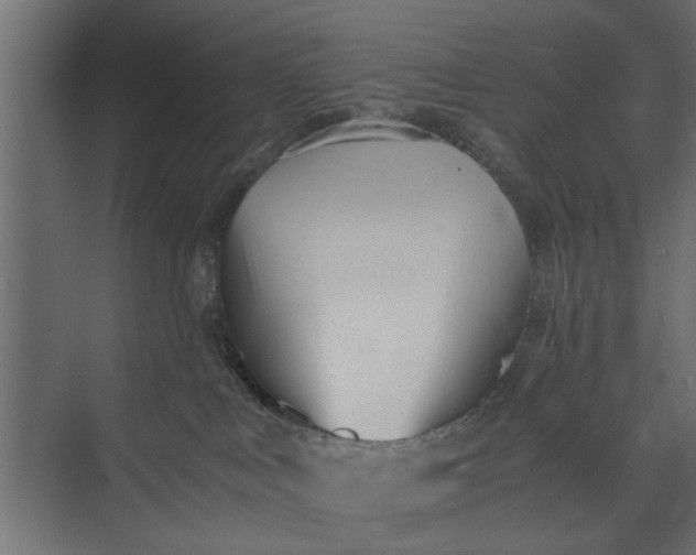 X0000073840043200608241028