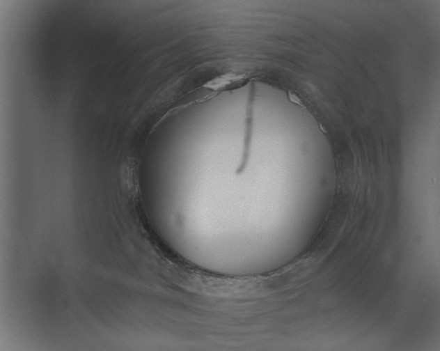 X0000073840044200608241028